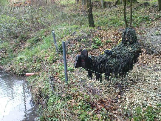 Campen.jpg