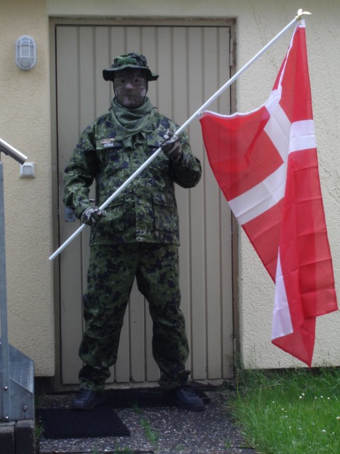 danish.jpg