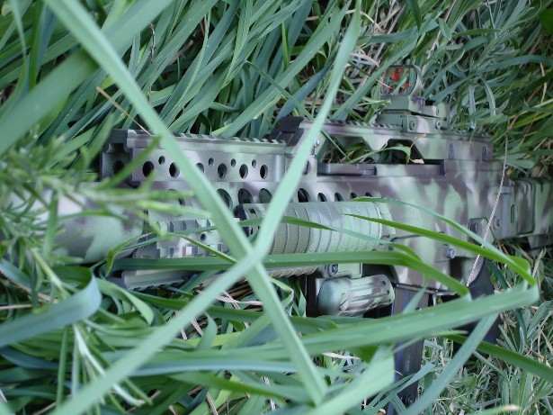 mygun3.JPG