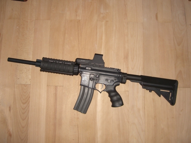 CIMG6449tfct.JPG
